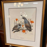 California Quail by Ray Harm