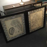 PAIR of Bassett Furniture Botanicial Sketches Framed Art