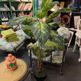 5 ft Faux Dieffenbachia Plant with Stand