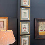 Les Plantes Potageres, Radish Framed Art