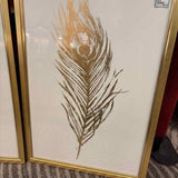 Peacock Feather Art with Gold Frame