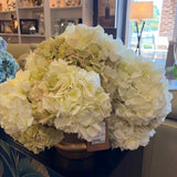 Floral Arrangement/Greenery/Tree