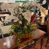 Custom XL Orchid Arrangement in Gold Planter