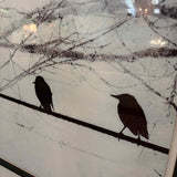 Black & White Birds