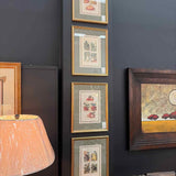 Les Plantes Potageres, Peas Framed Art