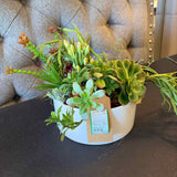 Succulent Blend Custom Floral Arrangement