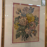Framed Vintage  Botanical Art