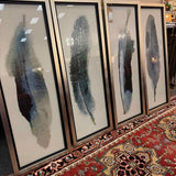 SET of 4 Uttermost "Feathered Beauty" Framed Arts