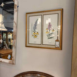 Framed Art by Ray Harm