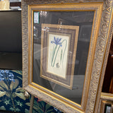 "Iris Xiphium" Botanical Framed Art