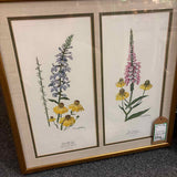 Framed Art by Ray Harm
