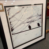 Black & White Birds