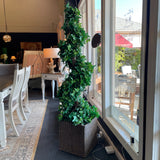 6 ft Faux English Ivy Sprial Topiary