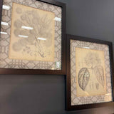 PAIR of Bassett Furniture Botanicial Sketches Framed Art