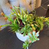Succulent Blend Custom Floral Arrangement