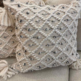 PAIR Pillow