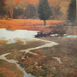 River & Meadow Scene Framed Art