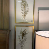 Peacock Feather Art with Gold Frame