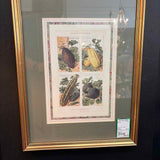 Les Plantes Potageres, Squash Framed Art